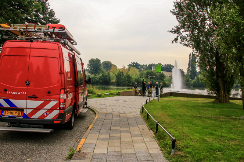 Verlamde meeuw uit water gered