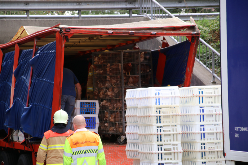 Vrachtwagen vol kippen vastgereden onder viaduct A30