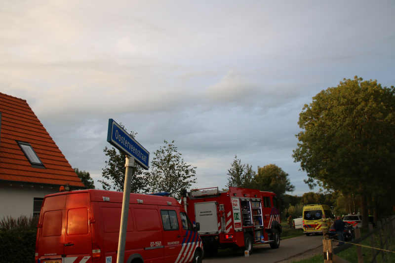 Bestuurder mist bocht en botst tegen boom