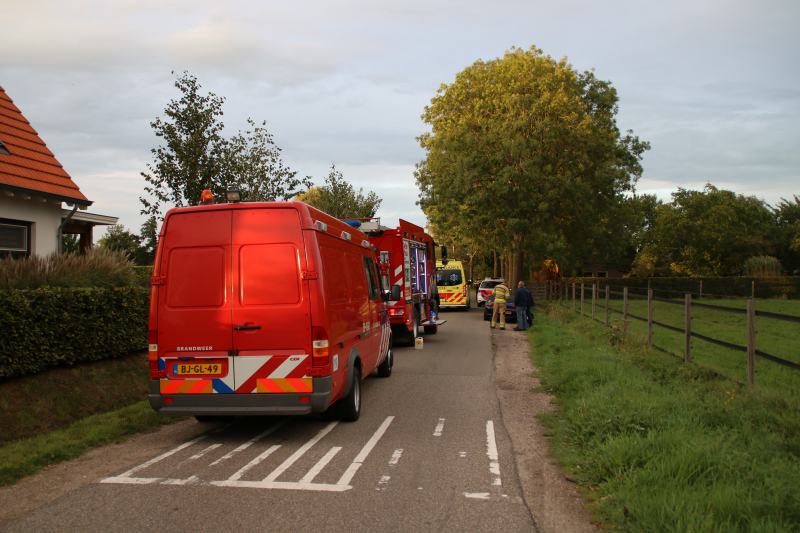 Bestuurder mist bocht en botst tegen boom