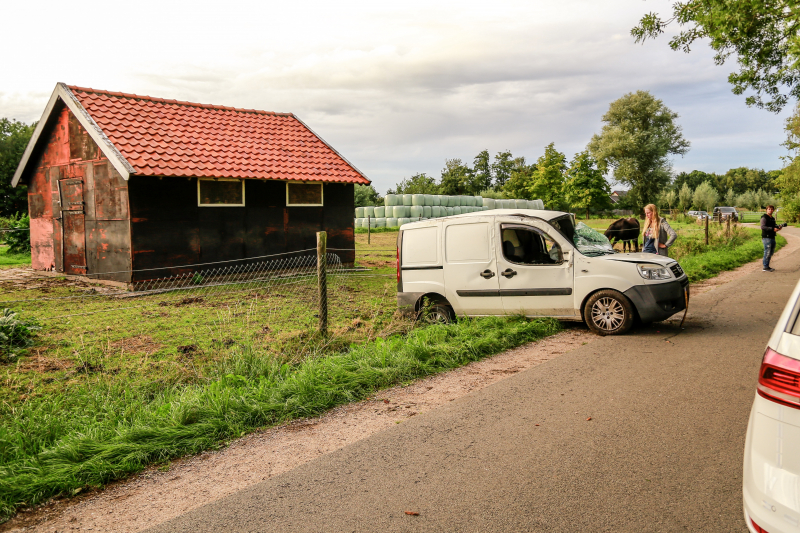 Bestuurder mist bocht en botst tegen boom