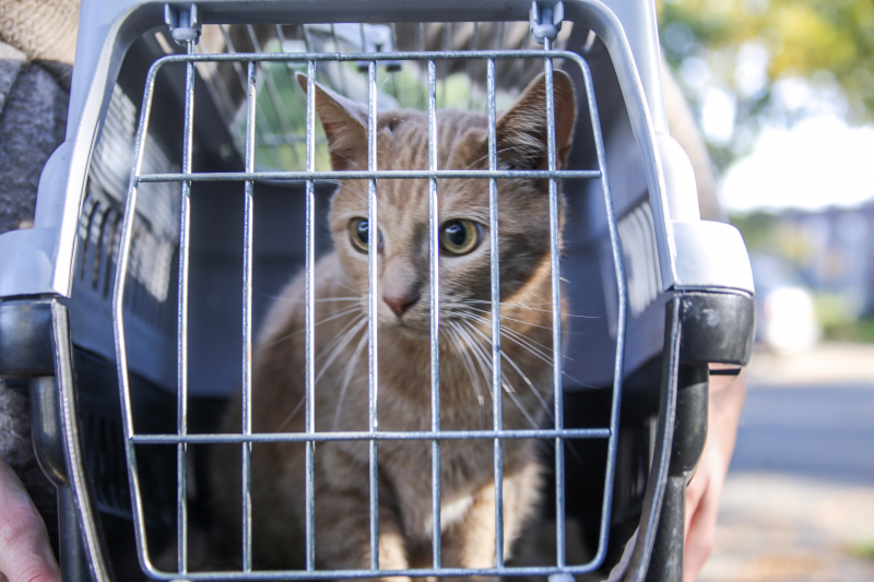 Evertsenstraat 112 melding Amersfoort 