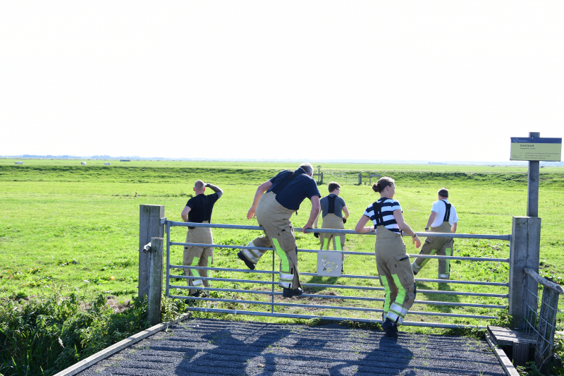 Brandweer flink in de benen voor koe in nood
