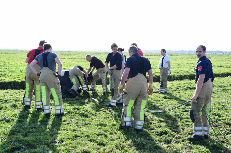 Brandweer flink in de benen voor koe in nood