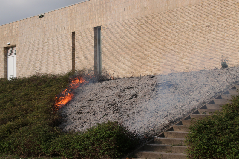 Groenstrook tegen sporthal in brand gestoken