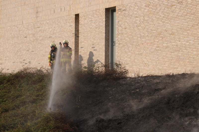 Groenstrook tegen sporthal in brand gestoken