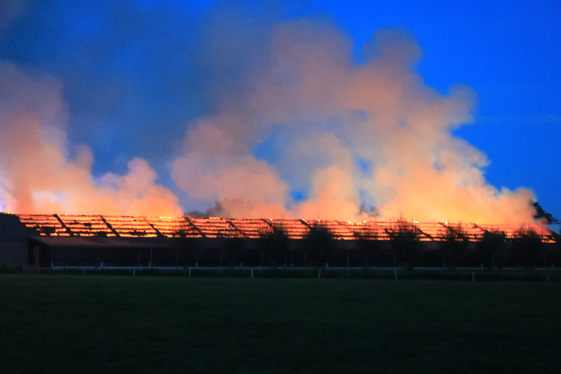 Kippenschuur verwoest door brand