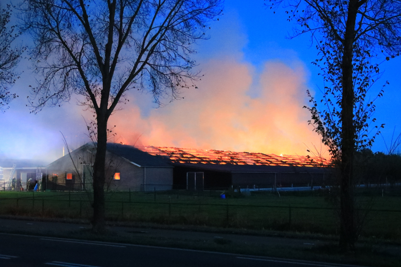 Kippenschuur verwoest door brand