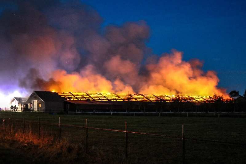 Kippenschuur verwoest door brand