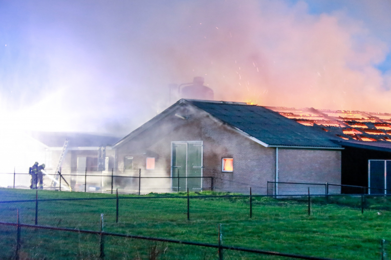 Kippenschuur verwoest door brand