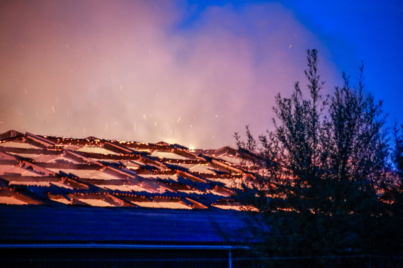 Kippenschuur verwoest door brand