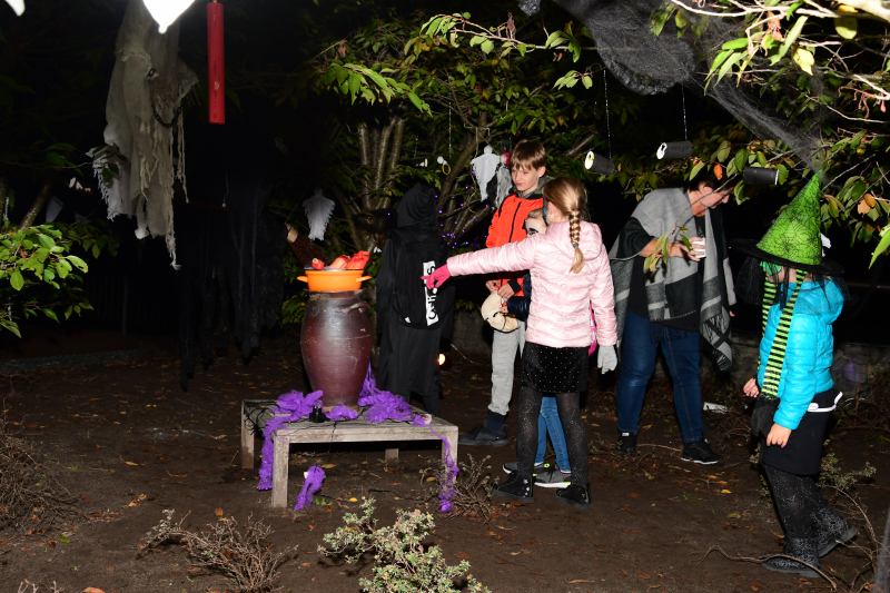 Eemnes omgetoverd in Halloweenstad