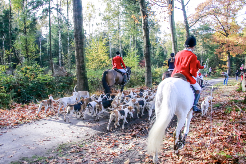 Veel publiek bij eerste slipjacht van het seizoen
