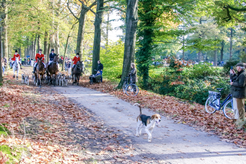 Veel publiek bij eerste slipjacht van het seizoen