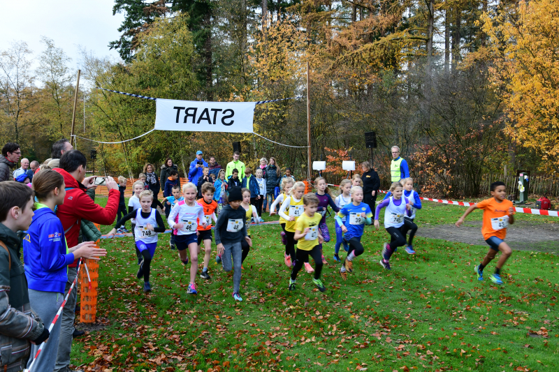 Honderden deelnemers van start bij BAV Zevenlindenloop