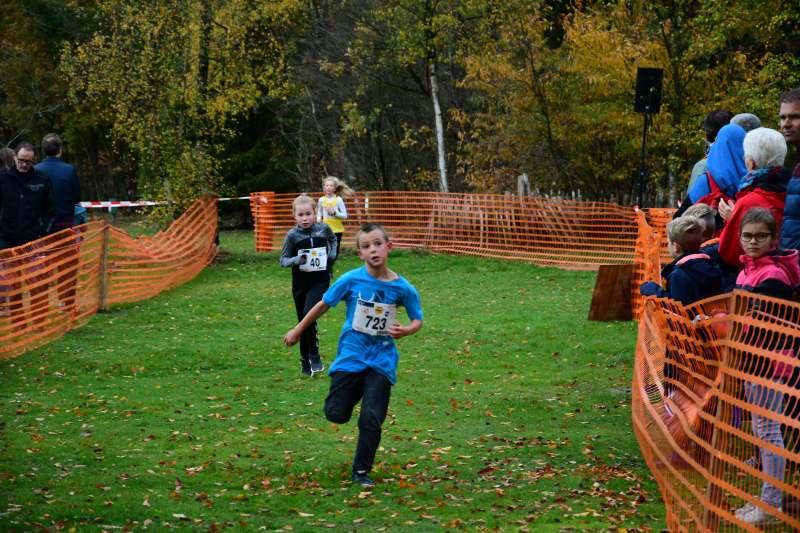 Honderden deelnemers van start bij BAV Zevenlindenloop