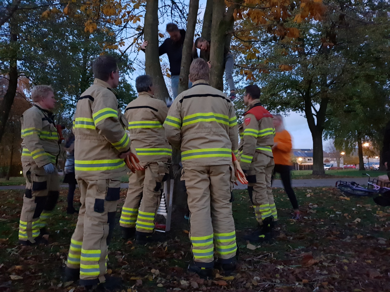 Knulletje vast in boom