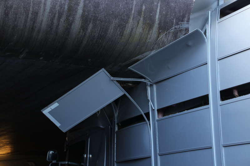 Vrachtwagen vol jonge varkens vastgereden onder viaduct