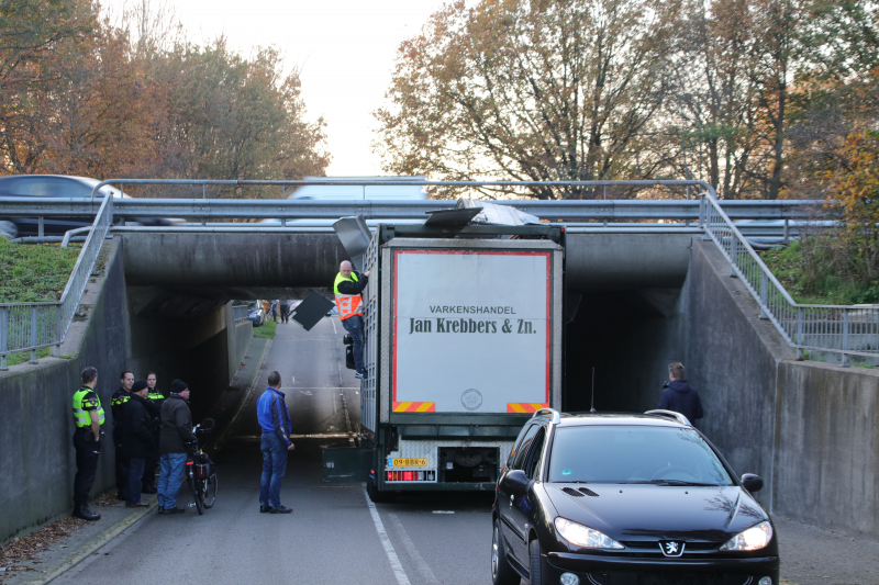 Vrachtwagen vol jonge varkens vastgereden onder viaduct
