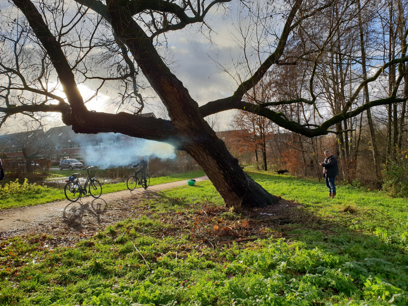 Klimboom in brand gestoken