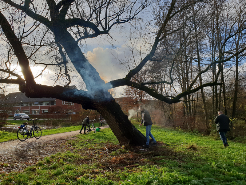 Klimboom in brand gestoken