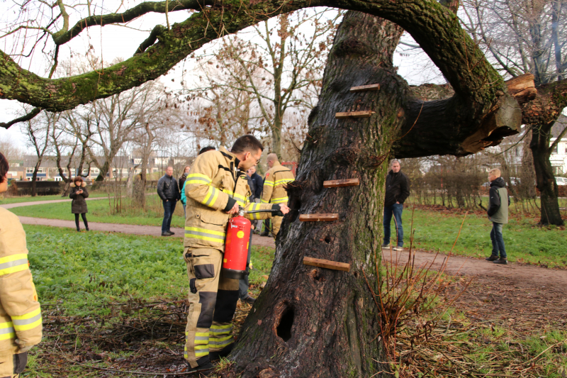 Klimboom in brand gestoken