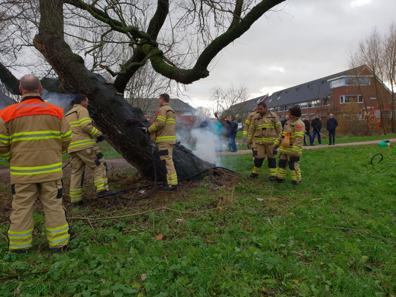 Klimboom in brand gestoken