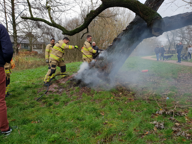 Klimboom in brand gestoken