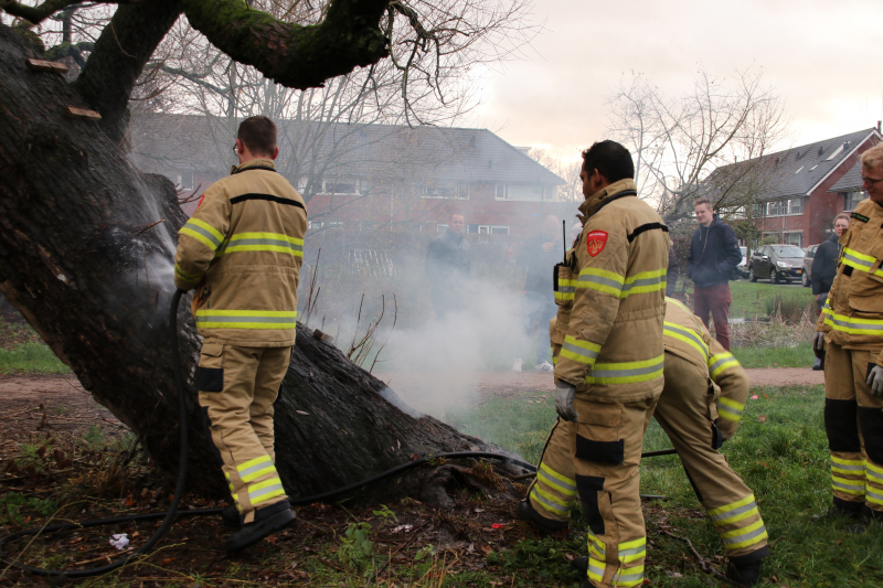 Klimboom in brand gestoken