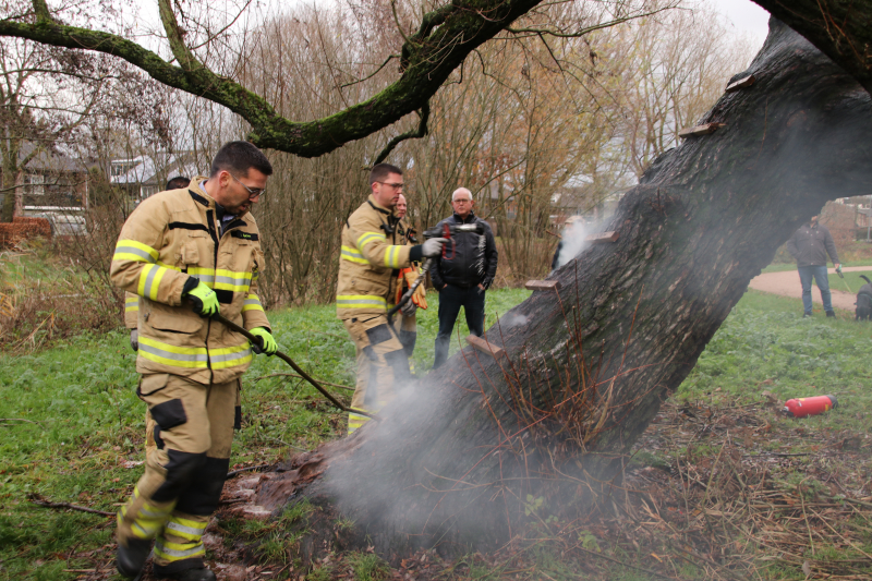 Klimboom in brand gestoken