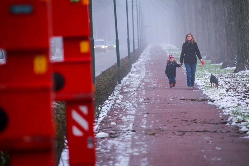 Loshangende takken boven fietspad