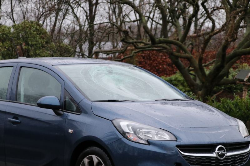 Barneveldsestraat 112 nieuws Scherpenzeel 