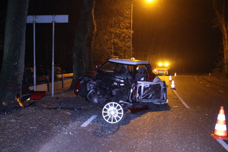 Gewonde bij aanrijding op een boom met 45km wagentje