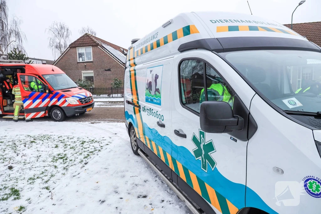 Scholekster 112 nieuws Bunschoten-Spakenburg 