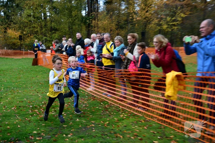 Honderden deelnemers van start bij BAV Zevenlindenloop