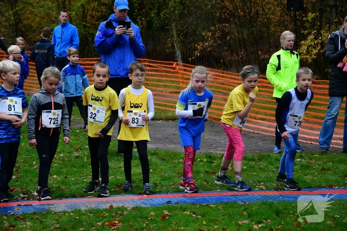 Honderden deelnemers van start bij BAV Zevenlindenloop