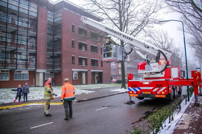 Loshangende takken boven fietspad