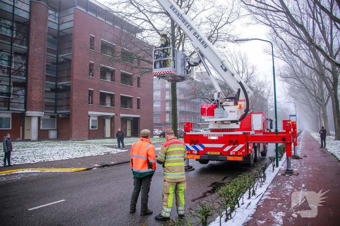 Loshangende takken boven fietspad