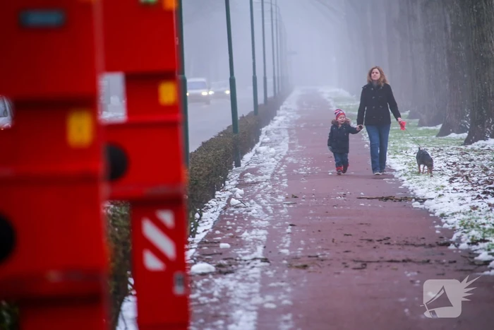 Loshangende takken boven fietspad