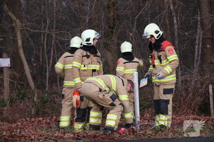 Auto vliegt uit de bocht