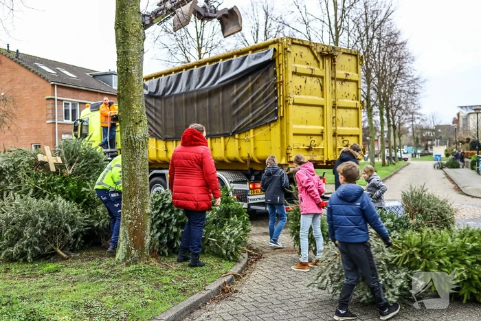 Buurt druk in de weer met ingezamelde kerstbomen