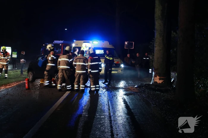 Auto botst op boom, een zwaargewonde