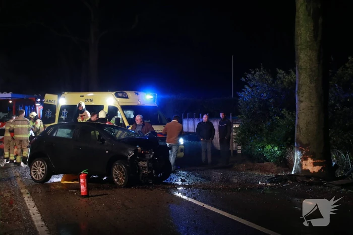 Auto botst op boom, een zwaargewonde