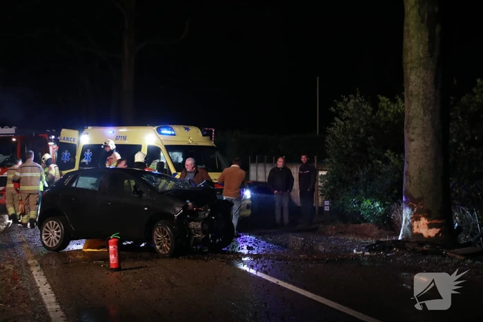 Auto botst op boom, een zwaargewonde