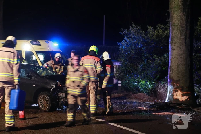 Auto botst op boom, een zwaargewonde