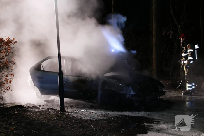 Auto fikt uit op vakantiepark De Eemhof