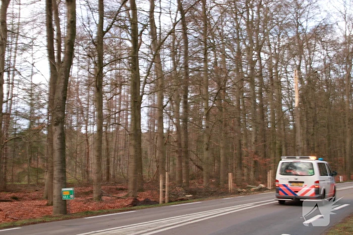 Verkeershinder door afgebroken stuk boom