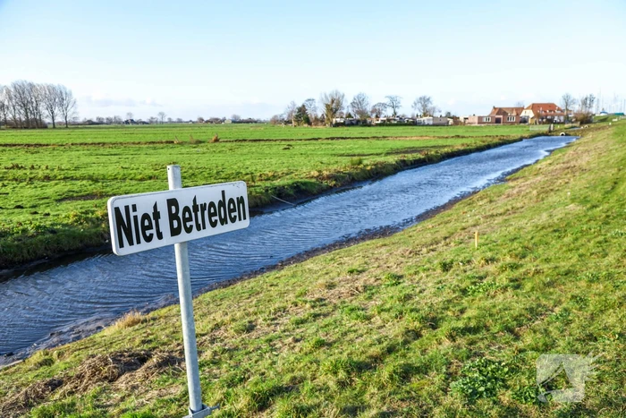 30 dode karpers uit vervuilde vijver gehaald gehaald