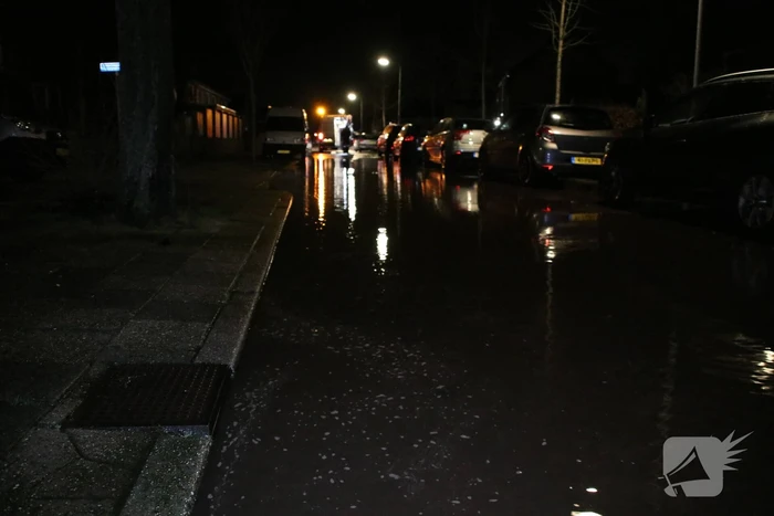 Krantenbezorger valt in sinkhole
