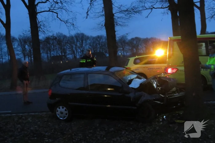Gewonde bij botsing tegen boom